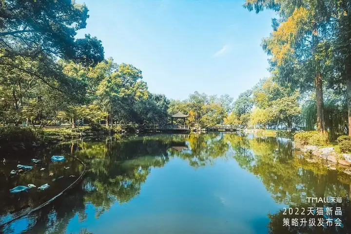 2022天猫新品策略升级发布会现场照片 6