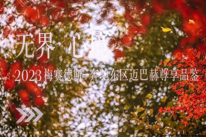 梅赛德斯奔驰东区迈巴赫尊享品鉴现场照片 5