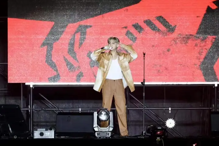 绿江郎别来无恙全明星演唱会现场照片 7