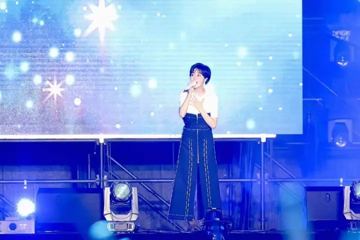 绿江郎别来无恙全明星演唱会现场照片 8