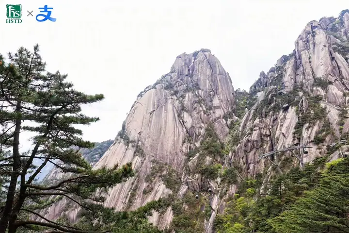 黄山国际化友好景区共建计划启动仪式现场照片 8