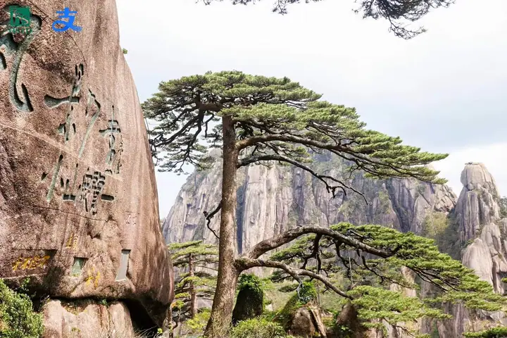 黄山国际化友好景区共建计划启动仪式现场照片 9