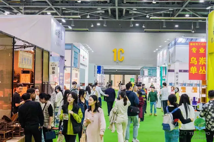 2024杭州秋季国际茶产业博览会现场照片 3