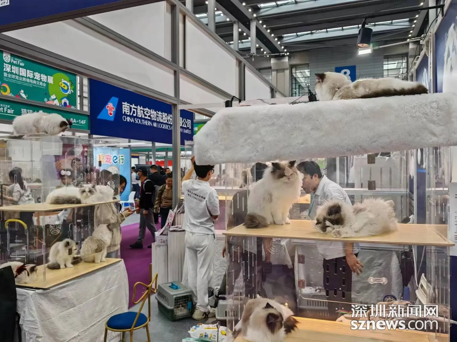 深圳国际宠物用品展 · 活动影像与资料