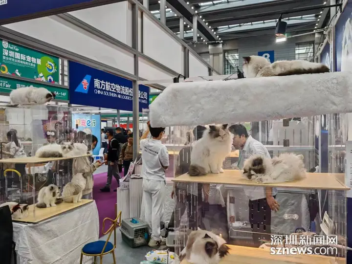 深圳国际宠物用品展活动影像与资料 1